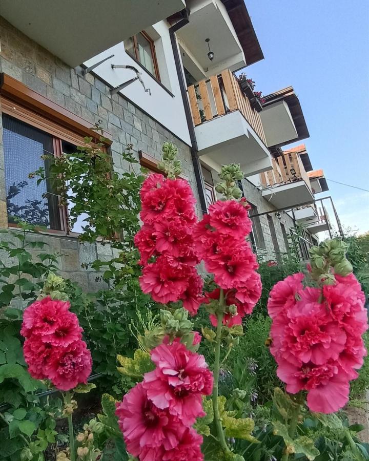 Lesnovo House Tomevski Zewnętrze zdjęcie